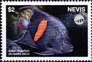 Colnect-3544-841-Asfur-angelfish.jpg
