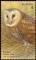 Colnect-3427-888-Eastern-Grass-Owl-Tyto-longimembris.jpg