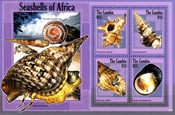 Colnect-3532-042-Seashells-of-Africa.jpg