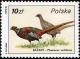 Colnect-1967-326-Common-Pheasant%C2%A0Phasianus-colchicus.jpg