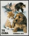 Colnect-1060-785-Cats-Felis-silvestris-catus--amp--Dogs-Canis-lupus-familiaris.jpg