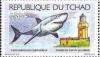 Colnect-1675-763-Cap-Ivi-Algeria---Great-White-Shark-Carcharodon-carcharias.jpg