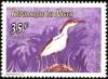 Colnect-2644-768-Western-Cattle-Egret-Bubulcus-ibis.jpg