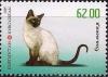 Colnect-2700-488-Siamese-Cat-Felis-silvestris-catus.jpg