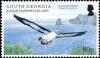 Colnect-3154-379-Grey-headed-Albatross-Thalassarche-chrysostoma.jpg