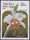 Colnect-4033-081-Cattleya-trianaei.jpg