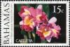 Colnect-5974-039-Cattleya---Orchid.jpg
