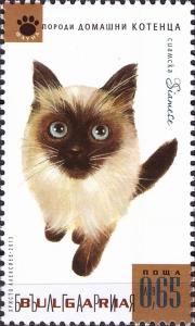 Colnect-3816-172-Siamese-Cat-Felis-silvestris-catus.jpg