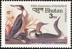 Colnect-1412-525-Red-throated-Loon-Gavia-stellata.jpg