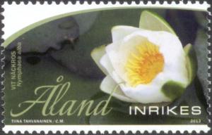 Colnect-1666-365-White-Waterlily-Nymphaea-alba.jpg