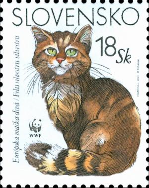 Colnect-1940-586-European-Wild-Cat-Felis-sylvestris-sylvestris.jpg