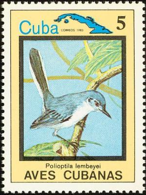 Colnect-3564-315-Cuban-Gnatcatcher-Polioptila-lembeyei.jpg