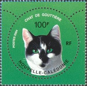 Colnect-845-682-Domestic-Cat-Felis-silvestris-catus.jpg