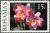 Colnect-5974-039-Cattleya---Orchid.jpg