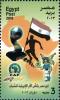 Colnect-3343-372-African-Nations-Cup-for-Youth-2013.jpg