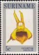 Colnect-3614-391-Catasetum-discolor.jpg