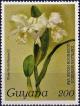 Colnect-4290-534-Cattleya-mendelii.jpg