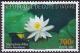 Colnect-4932-481-White-water-lily-Nymphea-alba.jpg