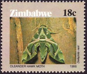 Colnect-3265-608-Oleander-Hawk-moth-Deilephila-nerii.jpg