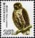 Colnect-1604-944-Brown-Hawk-Owl-Ninox-scutulata.jpg