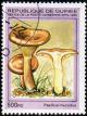 Colnect-2000-346-Paxillus-involutus.jpg