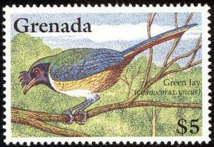 Colnect-4569-511-Inca-Jay----Cyanocorax-yncas.jpg