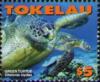 Colnect-1743-355-Green-Sea-Turtle-Chelonia-mydas.jpg