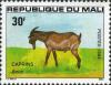 Colnect-2182-830-Goat-Capra-aegagrus-hircus---Male.jpg