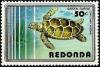 Colnect-2957-419-Green-Sea-Turtle-Chelonia-mydas.jpg