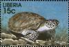 Colnect-3977-591-Green-Sea-Turtle-Chelonia-mydas.jpg