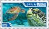 Colnect-4291-063-Green-Sea-Turtle-Chelonia-mydas.jpg