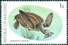 Colnect-4559-104-Leatherback-Sea-Turtle-Dermochelys-coriacea.jpg