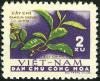 Colnect-5504-258-Camellia-sinensis---Tea-plant.jpg