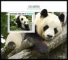 Colnect-7220-424-Big-Panda-Ailuropoda-melanoleuca.jpg