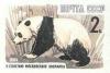 Colnect-873-561-Giant-Panda-Ailuropoda-melanoleuca.jpg