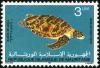 Colnect-998-869-Green-Sea-Turtle-Chelonia-mydas.jpg