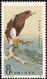 Colnect-4048-383-Steller--s-Sea-Eagle-Haliaeetus-pelagicus.jpg