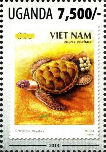 Colnect-3053-268-Green-Sea-Turtle-Chelonia-mydas.jpg