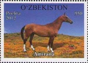 Colnect-1308-510--Amirana--Equus-ferus-caballus.jpg