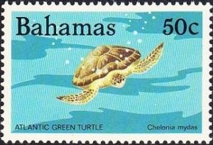 Colnect-1386-128-Green-Sea-Turtle-Chelonia-mydas.jpg