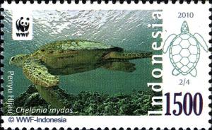 Colnect-1566-111-Green-Sea-Turtle-Chelonia-mydas.jpg