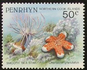 Colnect-1962-929-Granulated-Sea-Star-Choriaster-granulatus.jpg