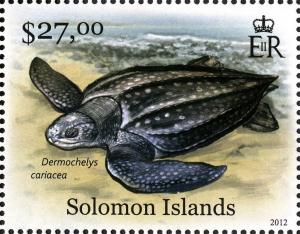 Colnect-2570-591-Leatherback-Sea-Turtle-Dermochelys-coriacea.jpg