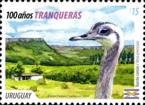 Colnect-3047-175-Greater-Rhea-Rhea-americana-Landscape.jpg