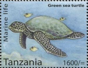 Colnect-3055-686-Green-Sea-Turtle-Chelonia-mydas.jpg