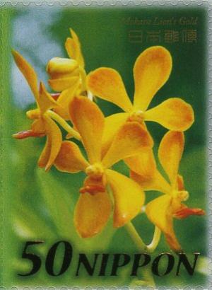 Colnect-3999-052-Mokara-Lion--s-Gold-Orchid.jpg