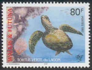 Colnect-900-189-Green-Sea-Turtle-Chelonia-mydas.jpg
