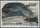 Colnect-1014-770-Leatherback-Sea-Turtle-Dermochelys-coriacea.jpg
