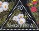 Colnect-1533-573-Moss-Rose-Portulaca-grandiflora-Three-white-flowers.jpg