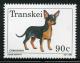 Colnect-1715-745-Chihuahua-Canis-lupus-familiaris.jpg